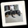 CC Casey Chloe 042.jpg